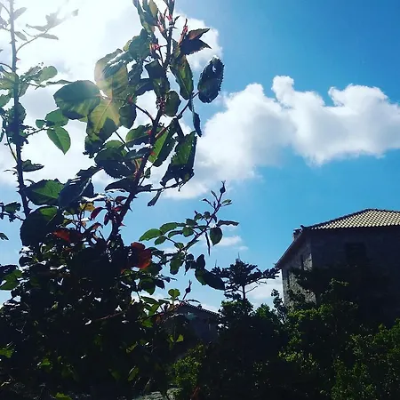 Andreas Katsaros Villa Volimes